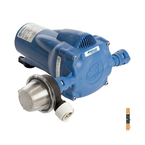 Whale Watermaster Automatic Pressure Pumps