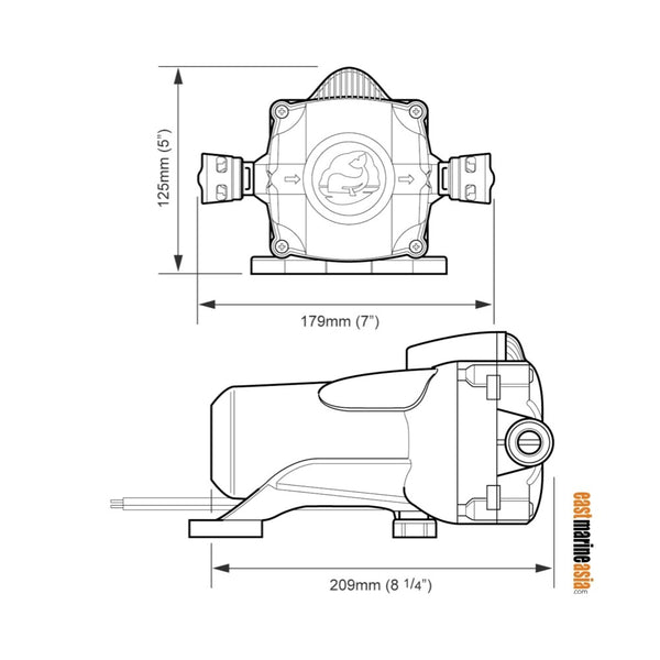 Whale Watermaster Automatic Pressure Pumps